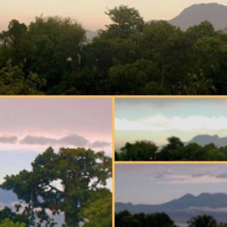 Jolie Studette Dans Un Environnement Arbore Les Abymes Luaran gambar