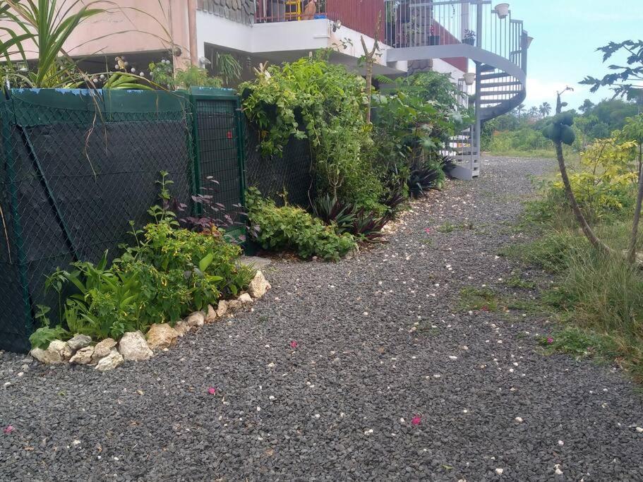 Jolie Studette Dans Un Environnement Arbore Les Abymes Luaran gambar